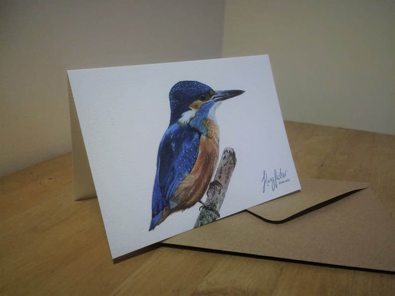 Kingfisher greetings cards