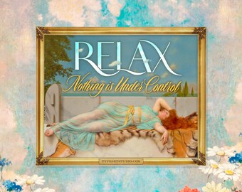 Relax Nothing is Under Control Sticker - Funny Altered Classic Art Vinyl Decal