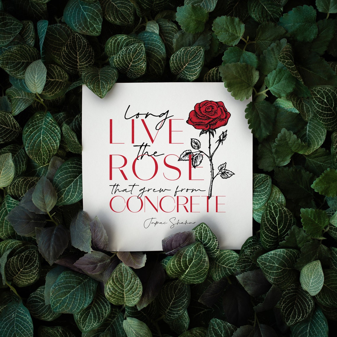 2pac / the Rose That Grew From Concrete Lyrics / Printable Art Etsy