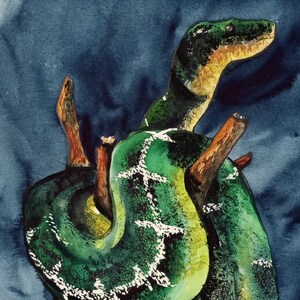 Peut inclure: Une peinture à l'aquarelle d'un serpent vert avec des marques blanches enroulé autour d'une branche brune. Le serpent est enroulé et sa tête est levée, regardant vers la droite. L'arrière-plan est bleu foncé.