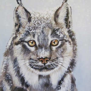 Canada Lynx acrylic portrait original art 8 x 10 inch on stretched canvas