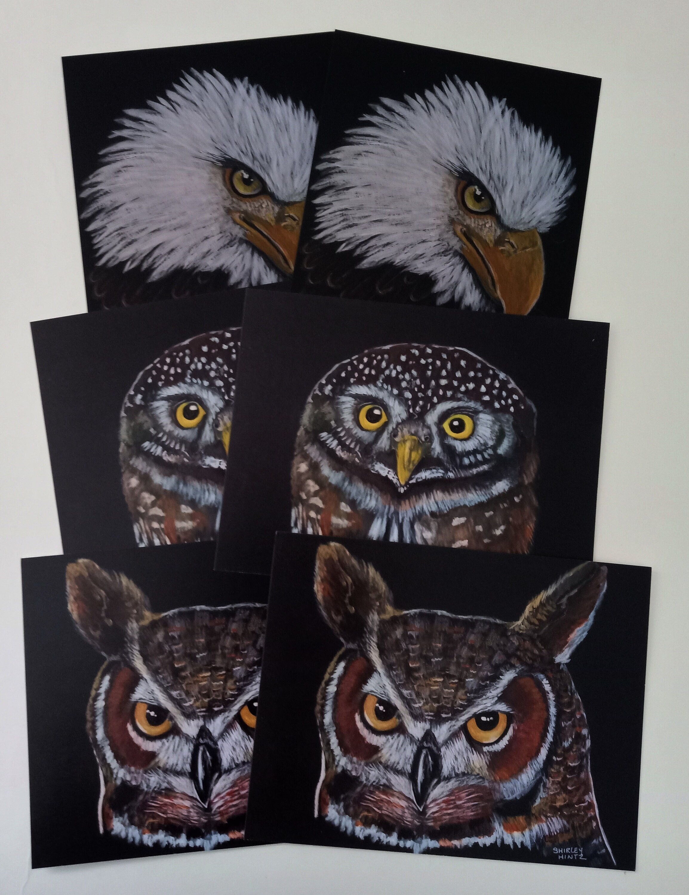 Raptor Art Print Postcard Set, Bald Eagle, Owl (A2)