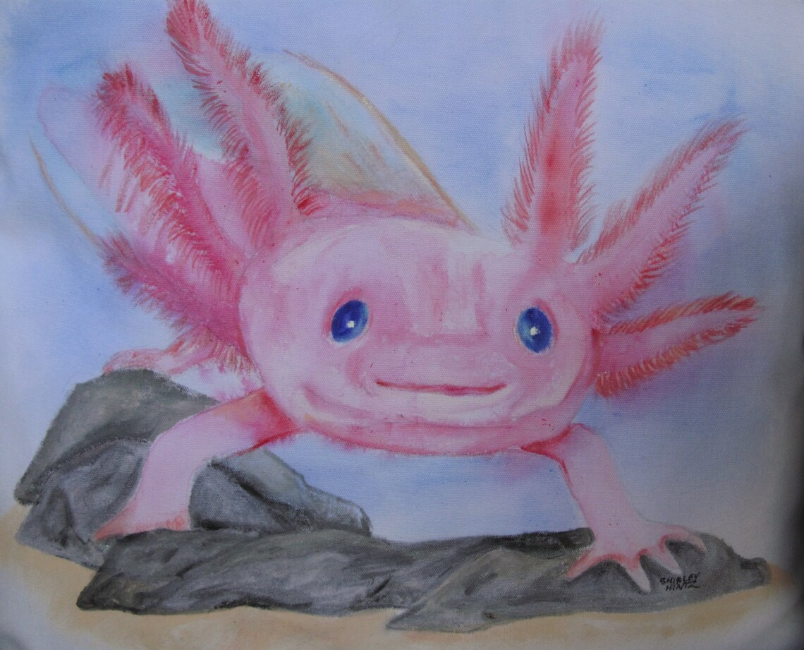 Axolotl Hand Painted Pillow Cover | Etsy
