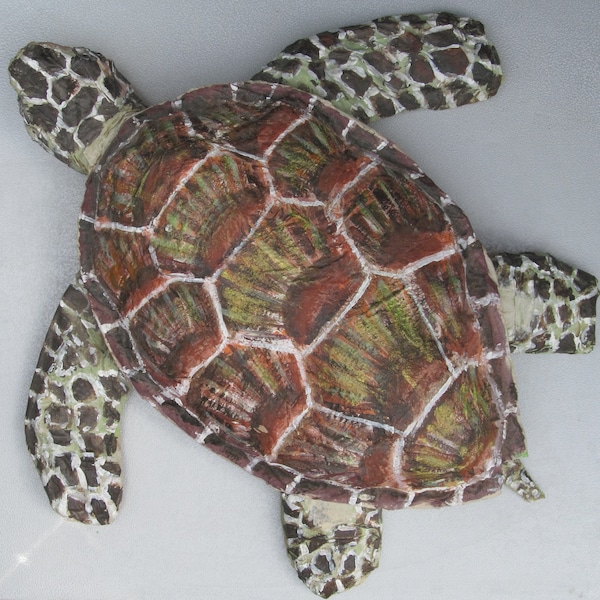 How to make a 3D papier mache Green Sea Turtle