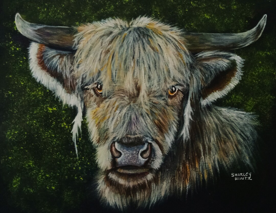 Blonde Highland Cow Original Art 8 X 10 Inch Acrylic And Etsy blonde-highland-cow-original-art-8-x-10-inch-acrylic-and-etsy