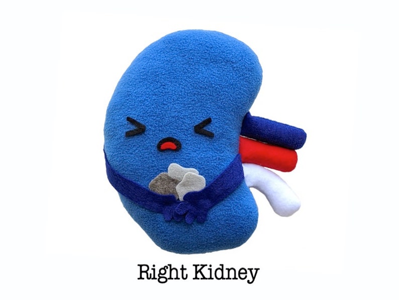 Kidney Toy Plushie Kidney Toy Gift Kidney Stones Toy Kidney Etsy