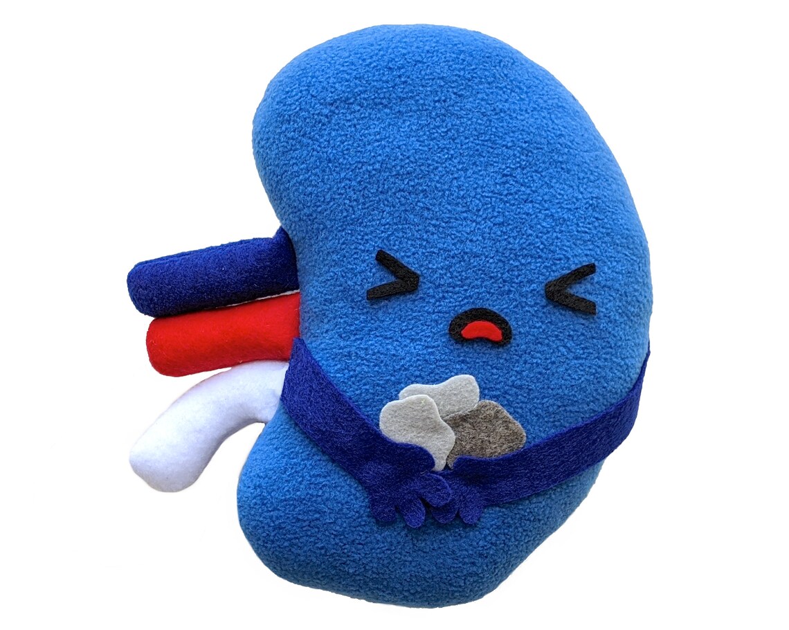 Kidney toy plushie kidney toy gift kidney stones toy kidney Etsy