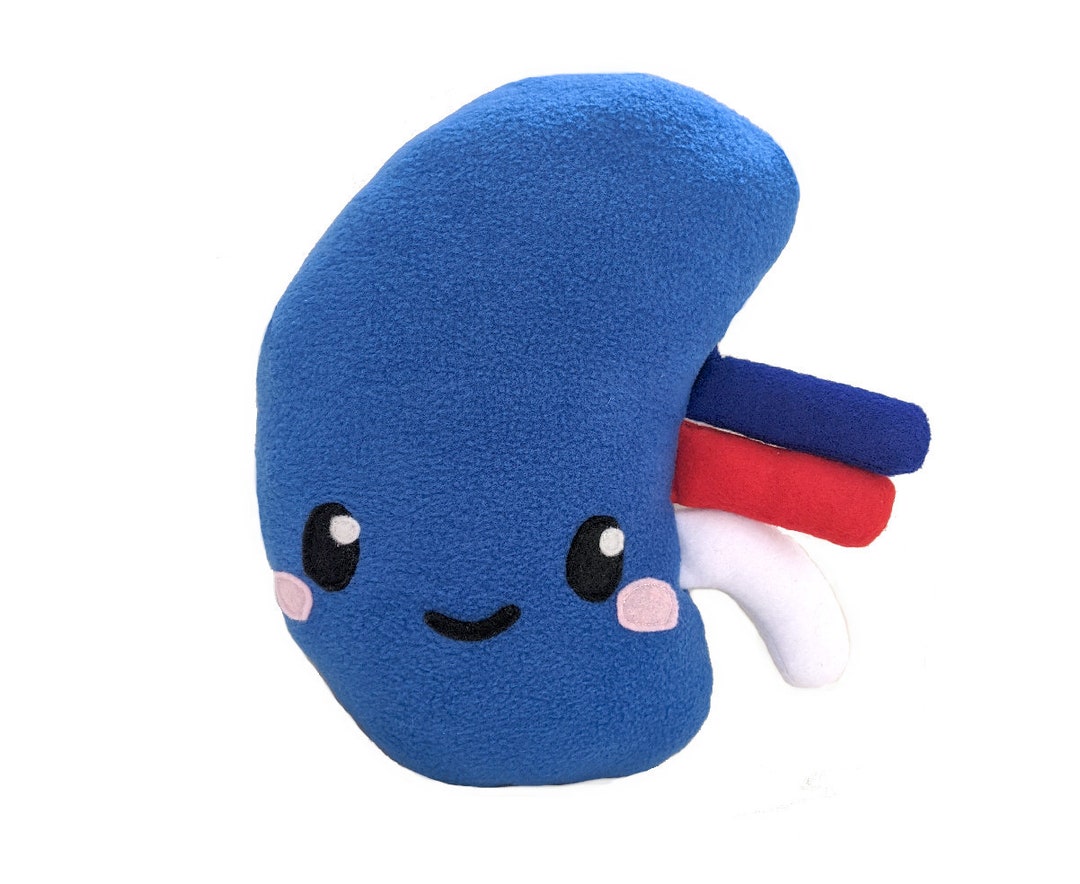 Kidney Toy Plushie Kidney Toy Gift Kidney Stones Toy Kidney Etsy