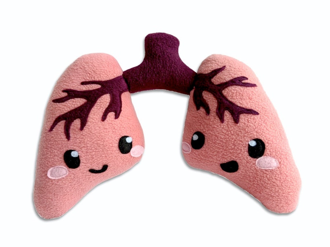 Lungs Toy Plushie Anatomical Organ Lung Toy Kawaii Stuffed Etsy