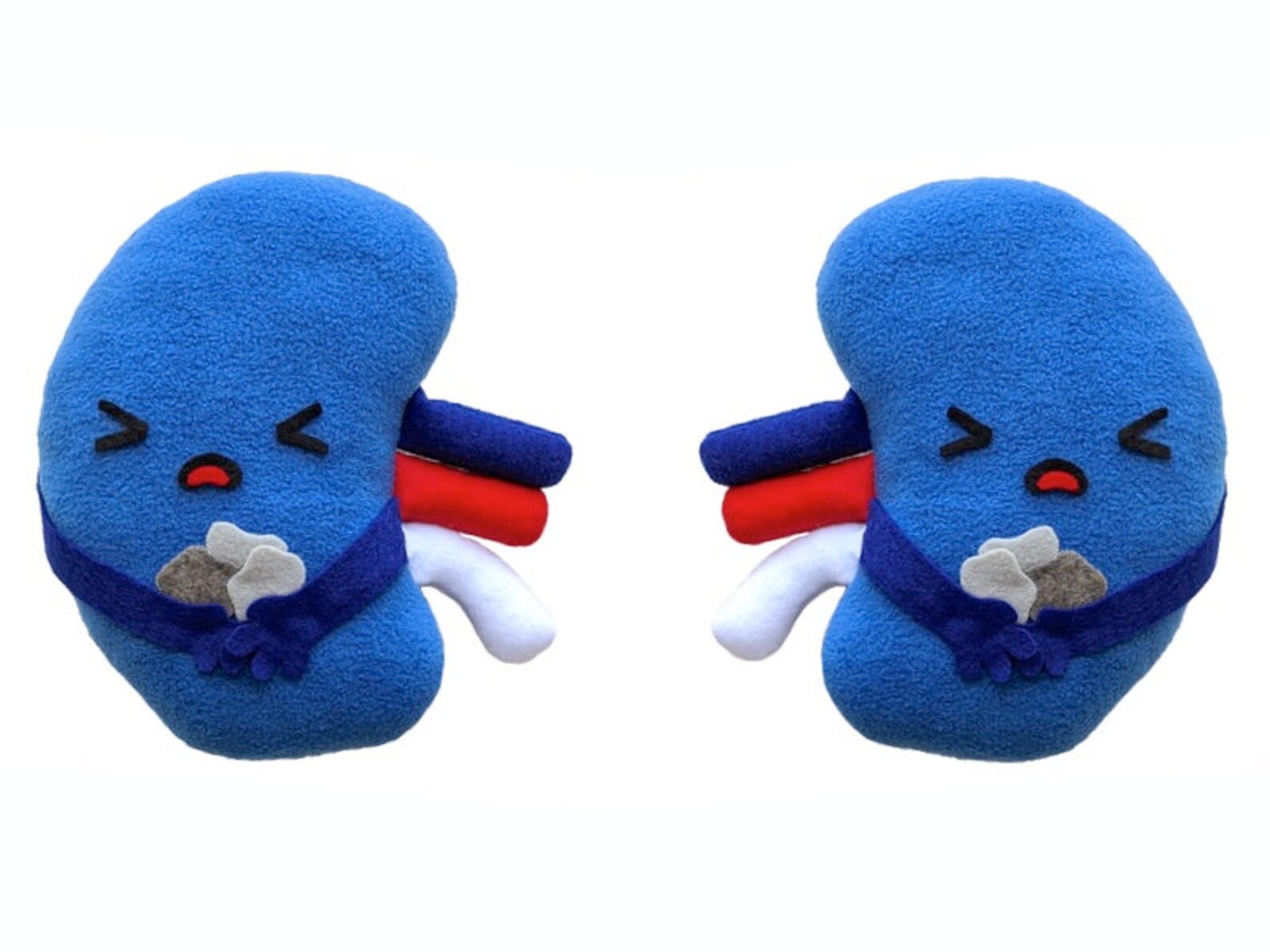 Kidney toy plushie kidney toy gift kidney stones toy kidney Etsy