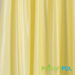 ProSoft FoodSAFE® Ultra Heavy Duty Waterproof PUL Pattern Fabric (W-538) (Made in USA, sold by the yard)