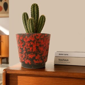 Op de afbeelding: Een groene cactus geplant in een taps toelopende keramische pot met een getextureerde zwarte basis en een levendig, gevlekt rood glazuurpatroon. De pot staat naast twee gestapelde boeken met de tekst dieter rams en bauhaus bauhaus-archiv berlin.