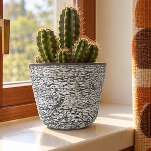 Op de afbeelding: Een groene, meerstammige cactus met scherpe stekels in een taps toelopende, ronde bloempot. De pot heeft een donkergrijze basiskleur met een gestructureerde, witte, gespikkelde of gevlekte afwerking die een opvallend visueel patroon vormt.