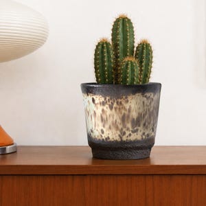 Op de afbeelding: Een groene cactus met meerdere stengels in een cilindrische keramische pot. De pot heeft een donkere, getextureerde basis en een gevlekte, metaalachtige afwerking in bruin-, crème- en zwarttinten die overgaat in een gladde, donkere rand.