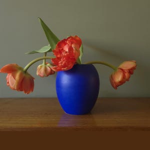 Puede incluir: Un jarrón azul cobalto contiene tulipanes naranjas con tallos y hojas verdes. El jarrón está sobre una superficie de madera contra un fondo verde apagado. Las flores están en plena floración, con múltiples pétalos.