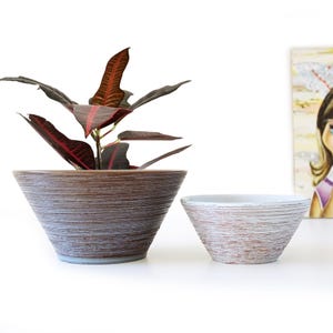Puede incluir: Dos macetas de cerámica decorativas. La maceta más grande es marrón con un diseño de rayas horizontales texturizadas y contiene una planta con hojas de color rojo oscuro y verde. La maceta más pequeña es blanca con un diseño similar.