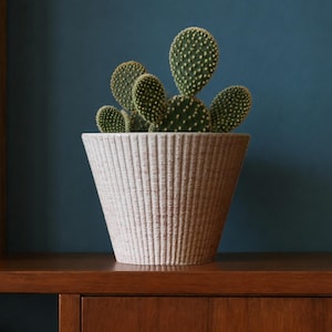 Può includere: Un cactus fico d'India verde con spine gialle piantato in un vaso beige a forma di cono. Il vaso presenta un motivo testurizzato a coste verticali su tutta la superficie esterna, conferendo un aspetto tattile al contenitore.