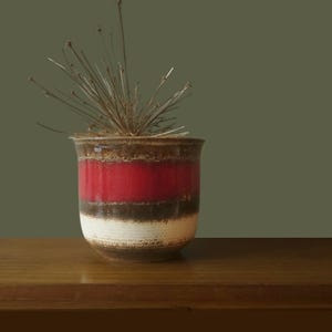 Może przedstawiać: Ceramiczny wazon z brązową obwódką, czerwonym paskiem, ciemnobrązowym paskiem i białym paskiem. Wazon zawiera suszone, kolczaste łodygi roślin. Wazon stoi na drewnianej powierzchni na zielonym tle.
