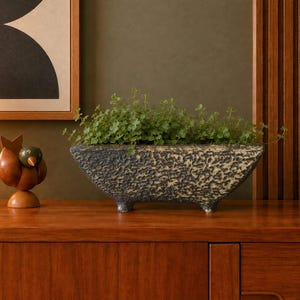 Peut inclure: Une jardinière rectangulaire sur pieds avec une surface sombre, texturée et marbrée, contenant une plante verte luxuriante aux petites feuilles arrondies. Le récipient présente une finition extérieure rugueuse et irrégulière sur pieds.