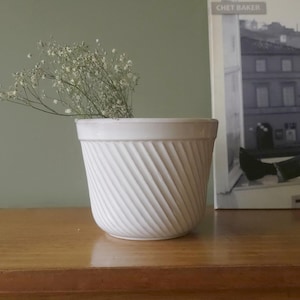 May include: A white ceramic plant pot featuring a diagonal ribbed texture on the exterior. The pot contains a sprig of dried white baby's breath flowers. The vessel has a wide, circular opening and a tapered base, providing a clean, neutral look.