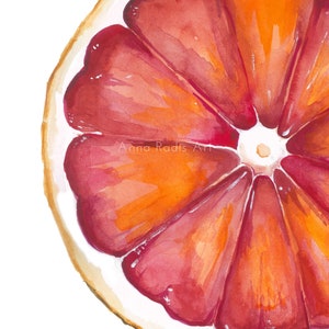 Fruit Painting Grapefruit Art, Original Watercolor Fruit Art, Red Grapefruit Painting, Citrus Wall Art, Grapefruit Print Kitchen Decor image 4