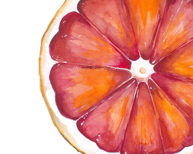 Fruit Painting Grapefruit Art, Original Watercolor Fruit Art, Red Grapefruit Painting, Citrus Wall Art, Grapefruit Print Kitchen Decor image 4