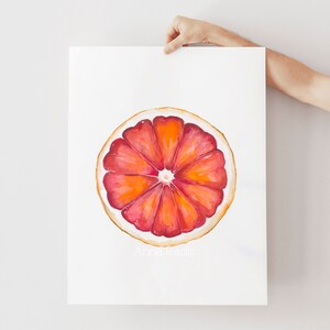 Fruit Painting Grapefruit Art, Original Watercolor Fruit Art, Red Grapefruit Painting, Citrus Wall Art, Grapefruit Print Kitchen Decor image 2