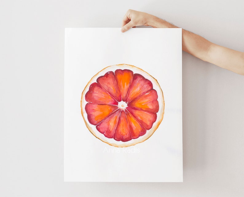 Fruit Painting Grapefruit Art, Original Watercolor Fruit Art, Red Grapefruit Painting, Citrus Wall Art, Grapefruit Print Kitchen Decor image 2