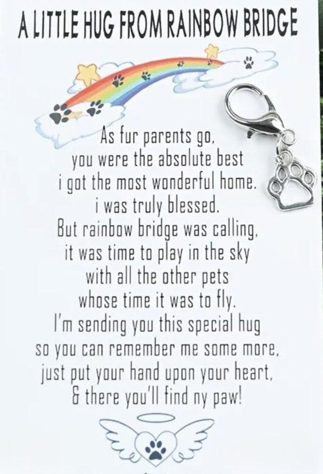 Rainbow Bridge Paw Charm, Pet Memorial Keyring, Sympathy Gift for Loss ...