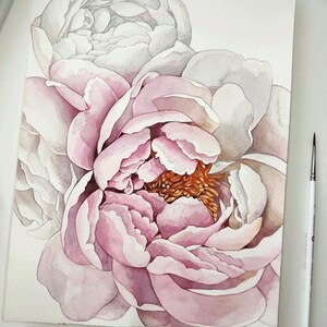 K&ouml;nnte beinhalten: Ein Aquarellbild von rosa Pfingstrosen vor wei&szlig;em Hintergrund. Die Pfingstrosen stehen in voller Bl&uuml;te und haben ein zartes, geschichtetes Aussehen. Das Bild ist in einem realistischen Stil gemalt und f&auml;ngt die Sch&ouml;nheit der Blumen ein.