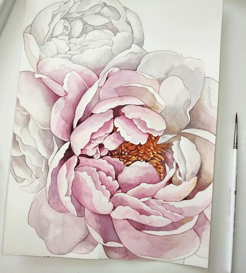 K&ouml;nnte beinhalten: Ein Aquarellbild von rosa Pfingstrosen vor wei&szlig;em Hintergrund. Die Pfingstrosen stehen in voller Bl&uuml;te und haben ein zartes, geschichtetes Aussehen. Das Bild ist in einem realistischen Stil gemalt und f&auml;ngt die Sch&ouml;nheit der Blumen ein.