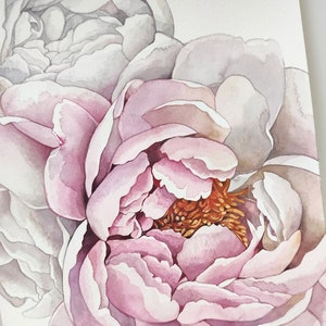 K&ouml;nnte beinhalten: Ein Aquarellbild von zwei rosa Pfingstrosen mit wei&szlig;en R&auml;ndern. Die Bl&uuml;tenbl&auml;tter &uuml;berlappen sich und die Mitte der Bl&uuml;te ist hellorange.