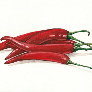 Chiles acuarela, pintura de pimientos rojos, acuarela ORIGINAL, arte de la pared de la cocina, pintura de bodegones, pintura de verduras
