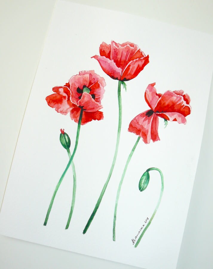 Red Poppies Print Watercolor Poppies Botanical Print Flowers - Etsy