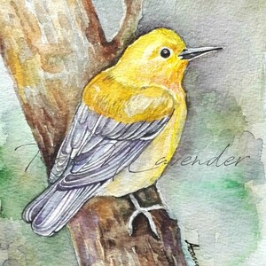 Yellow Bird Painting ORIGINAL Watercolor Bird Wall Art Painting Bird Watercolor Yellow Bird Home Decor