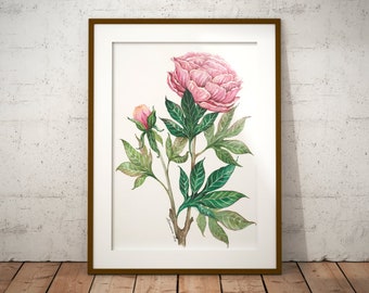 Peony Painting, ORIGINAL Watercolor, Flower Painting, Pink Peony Artwork, Floral Watercolor, Peony Illustration, Gift For Her, Peonies Art