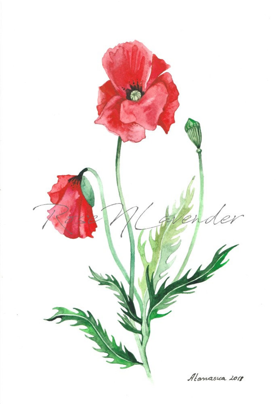 Poppy Print Wall Art Print Set of 2 Watercolor Flowers Red Poppies ...