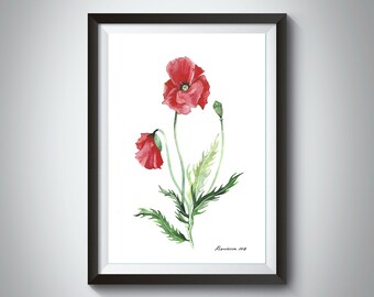 Poppy Flower Print Watercolor Red Poppies Poppy Watercolor Flower Painting Poppy Painting Botanical illustartion