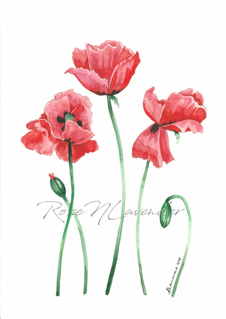 Poppy Print Wall Art Print Set of 2 Watercolor Flowers Red Poppies ...
