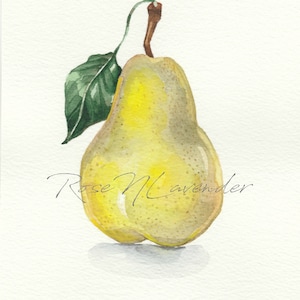Pera Acquerello Originale Pittura Cucina Arte Murale Frutta Acquerello Pittura Pera Parete Arte Pera Pittura Davanzale Vita Illustrazione Pera Decor