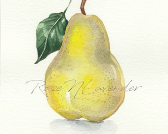 Pear Watercolor Original Painting Kitchen Wall Art Fruit Watercolor Painting Pear Wall Art Pear Painting Sill life Illustration Pear Decor