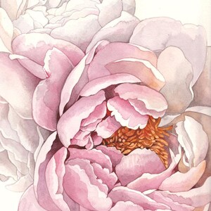 K&ouml;nnte beinhalten: Eine Nahaufnahme eines Aquarellbildes einer rosa Pfingstrose. Die Blume ist in voller Bl&uuml;te und hat viele Schichten von Bl&uuml;tenbl&auml;ttern. Die Mitte der Blume ist hellorange.
