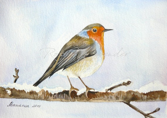 Rouge Gorge Oiseau Peinture Aquarelle Originale Peinture De Robin Aquarelle Oiseau Art Robin Aquarelle Peinture Doiseau Oiseau Carte Aquarelle