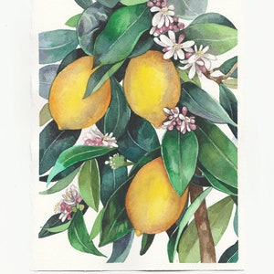 Lemons Watercolor Lemon Painting ORIGINAL Watercolor Lemons Branch Wall Art Kitcnen painting Botanical Watercolor Lemon Tree Lemons Painting