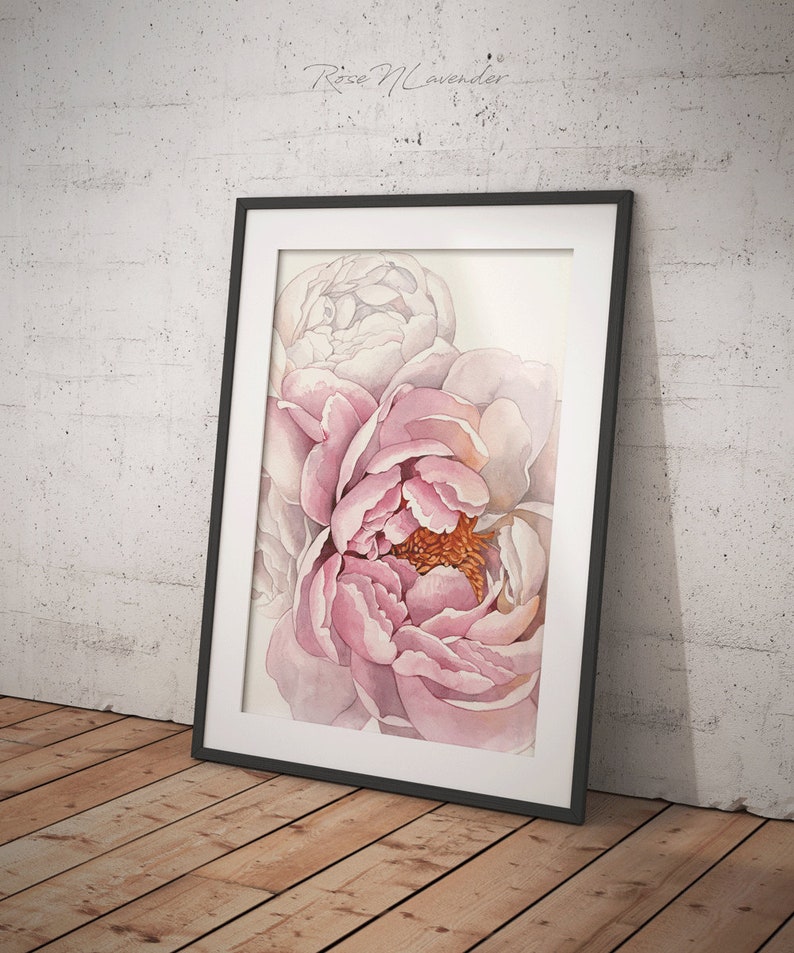 K&ouml;nnte beinhalten: Ein Aquarellbild von rosa und wei&szlig;en Pfingstrosen. Die Blumen sind in einem schwarzen Rahmen und vor einem wei&szlig;en Hintergrund.