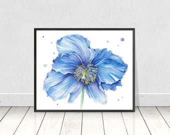 Blue Poppy Print Watercolor Flower Poppy Watercolor Blue Flower Botanical Illustration Himalayan Blue Poppy Floral Print Poppy Artwork