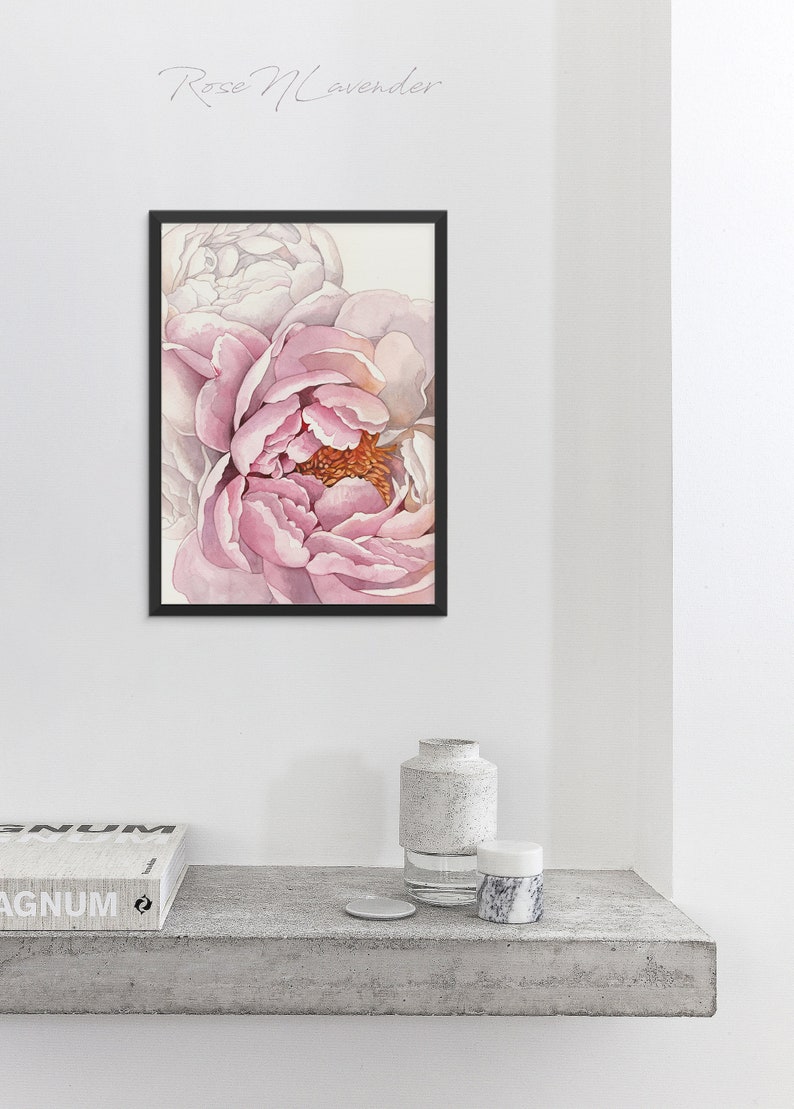 K&ouml;nnte beinhalten: Ein gerahmtes Aquarellbild einer rosa Pfingstrose mit einem hellbraunen Zentrum. Das Bild ist mit "Rose Lavender" betitelt und an einer wei&szlig;en Wand ausgestellt.