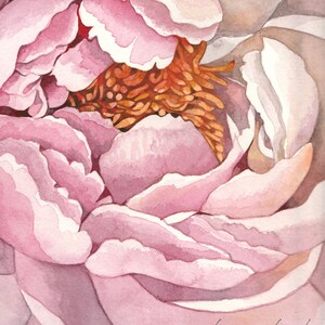 K&ouml;nnte beinhalten: Nahaufnahme einer rosa Pfingstrose mit einer weichen, aquarellartigen Textur. Die Bl&uuml;tenbl&auml;tter sind zart und &uuml;bereinander gelegt und zeigen die Mitte der Bl&uuml;te mit orangefarbenen Staubf&auml;den.