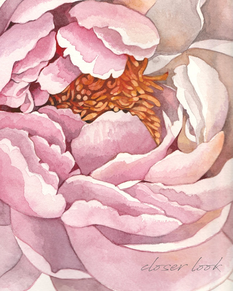 K&ouml;nnte beinhalten: Nahaufnahme einer rosa Pfingstrose mit einer weichen, aquarellartigen Textur. Die Bl&uuml;tenbl&auml;tter sind zart und &uuml;bereinander gelegt und zeigen die Mitte der Bl&uuml;te mit orangefarbenen Staubf&auml;den.