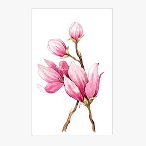 Watercolor Magnolia, Original Painting, Magnolia Branches, Magnolia Painting, Botanical Illustration, Pink Flower Art, Flower Watercolor
